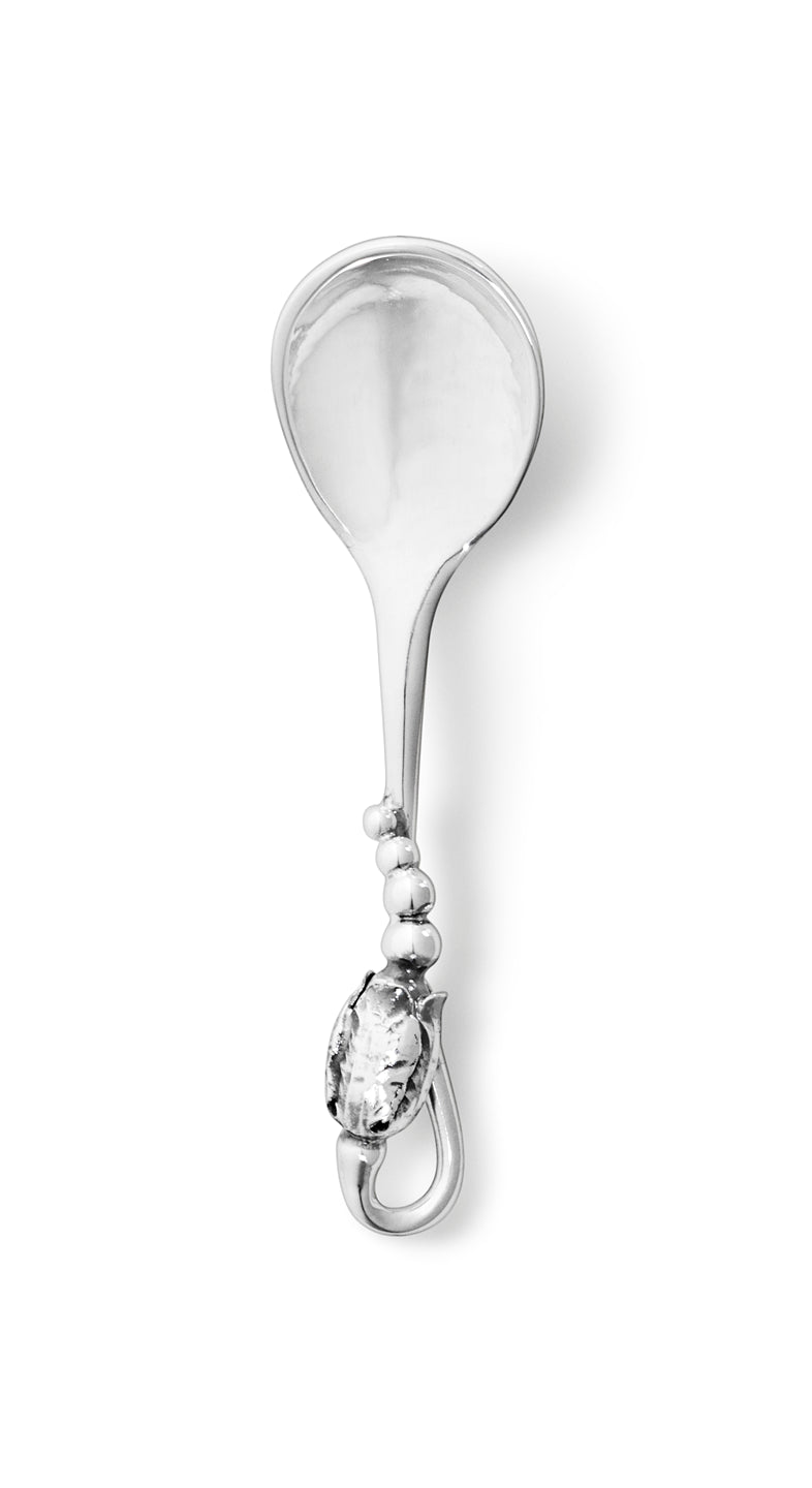 Magnolia saltske g.j.