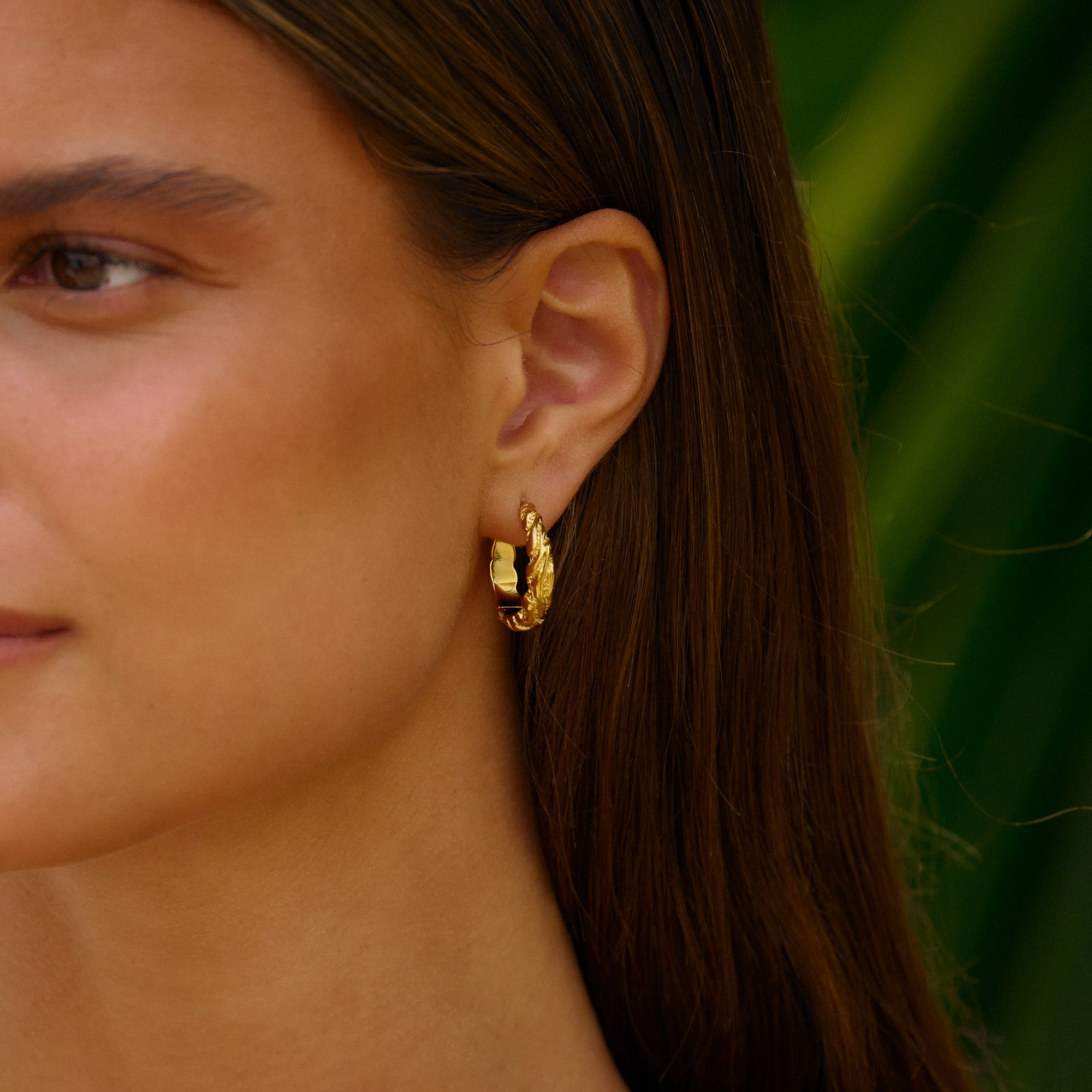 Store Zebra forgyldte hoops