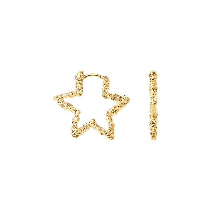 Star Sparkly forgyldte hoops