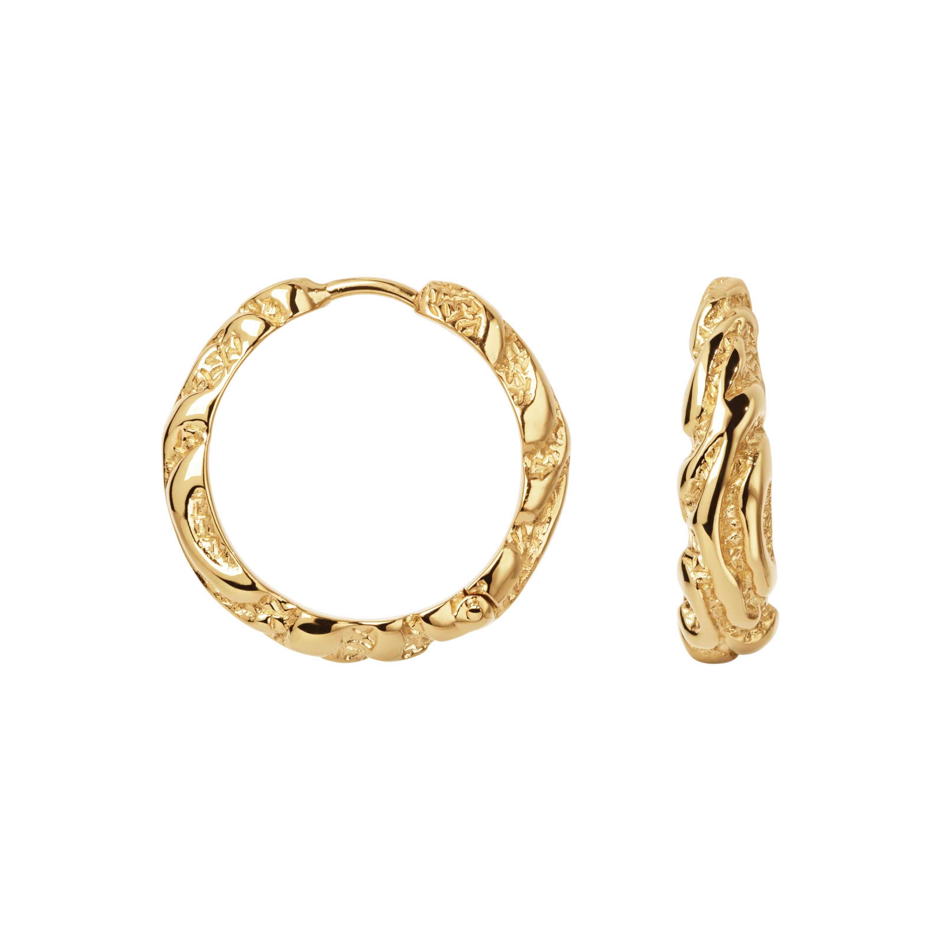 Store Zebra forgyldte hoops