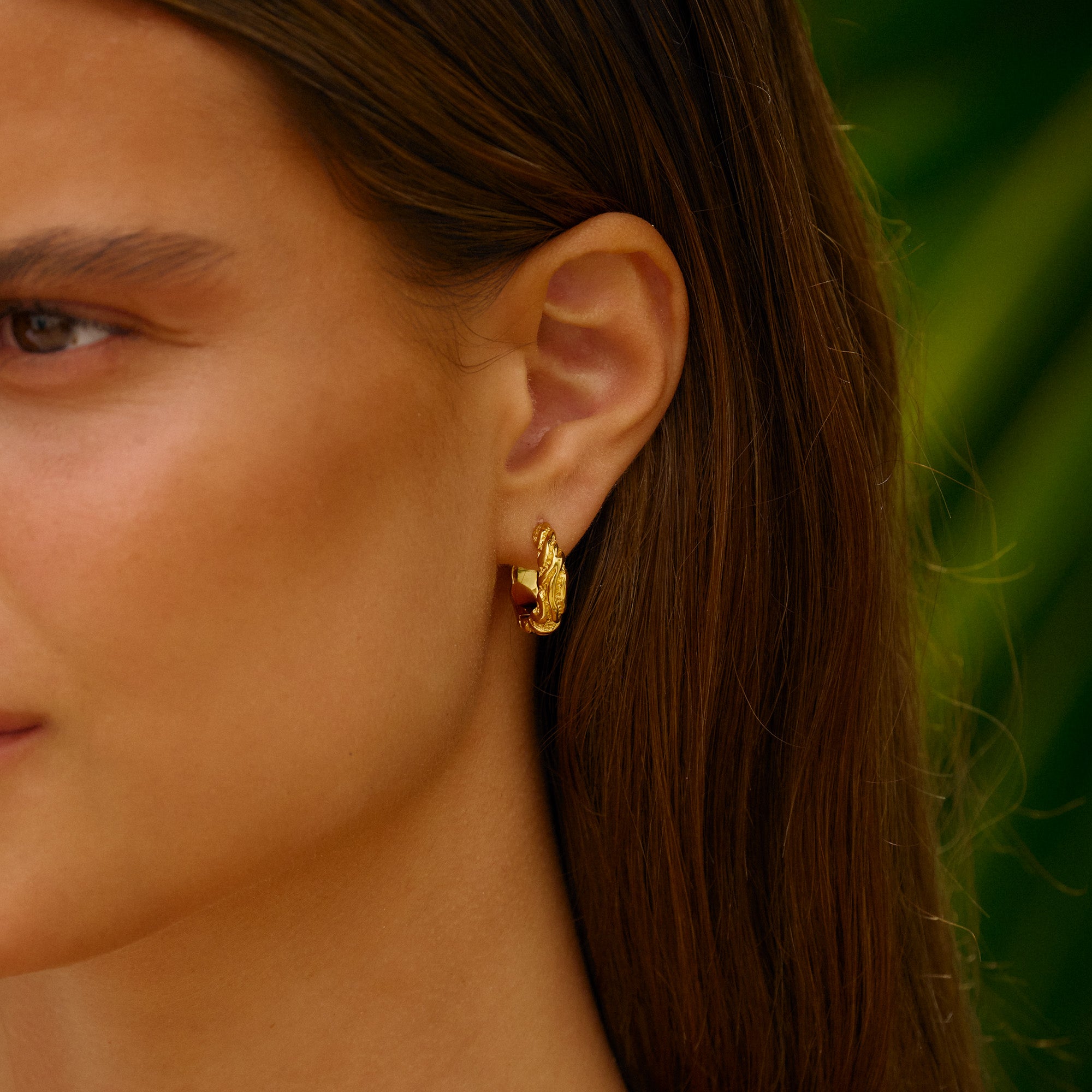 Medium Zebra forgyldte hoops