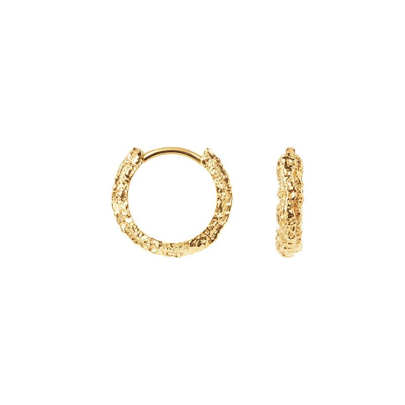 Small Sparkly forgyldte hoops