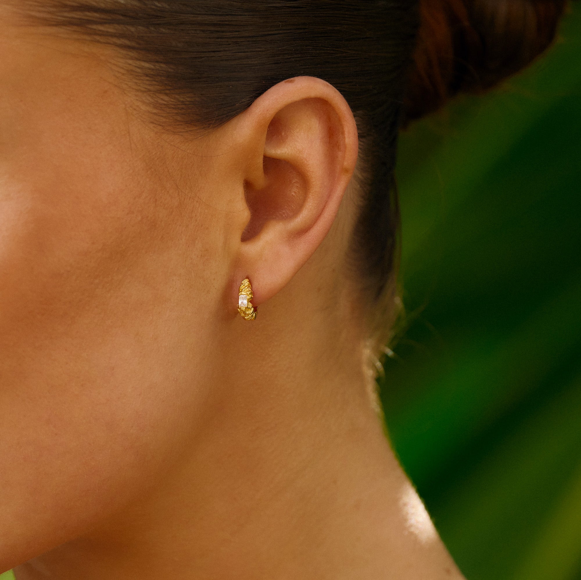 Små Flare Zebra forgyldte hoops